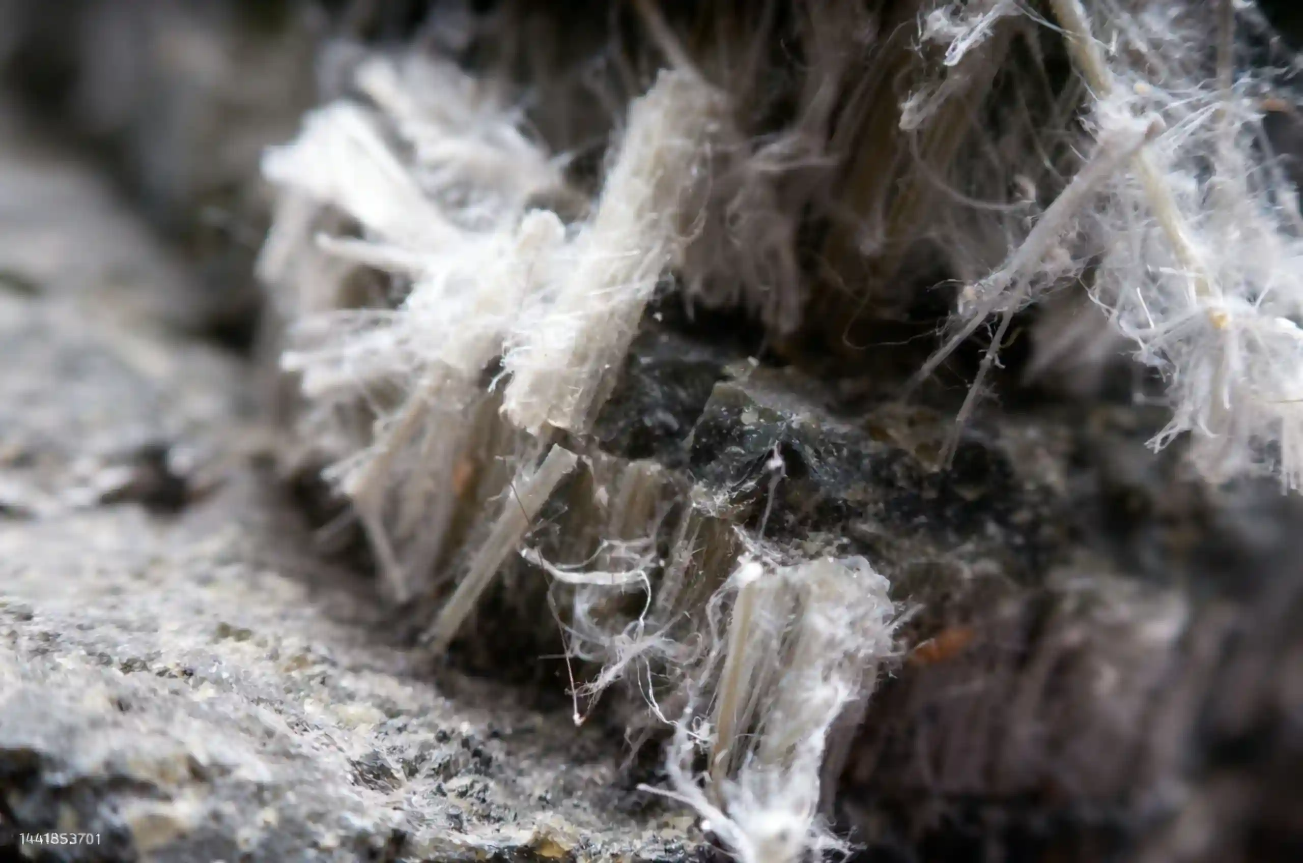 Asbestos Survey Requirements